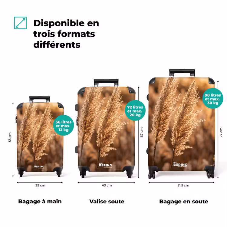 Valise - Panaches de roseaux - Herbe - Coucher de soleil - Or - Serein — 3