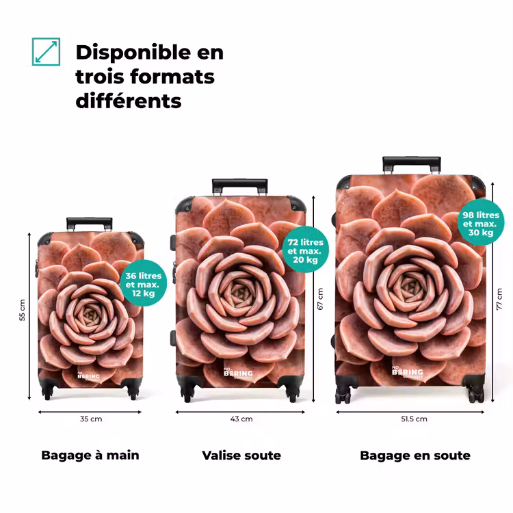Valise - Plante grasse - Biologique - Rose — 1