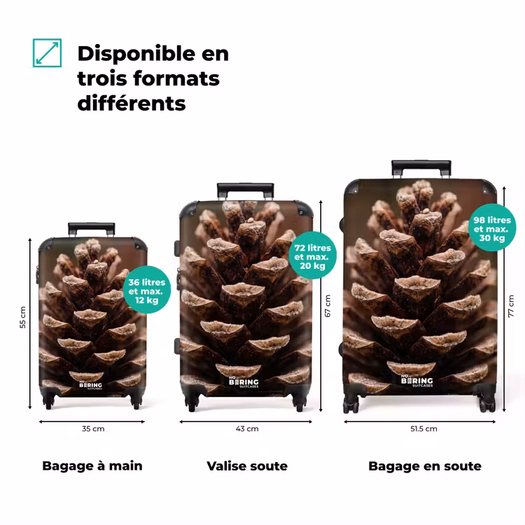 Valise - Pomme de pin - Forêt - Automne - Marron - Chaleureux — 3
