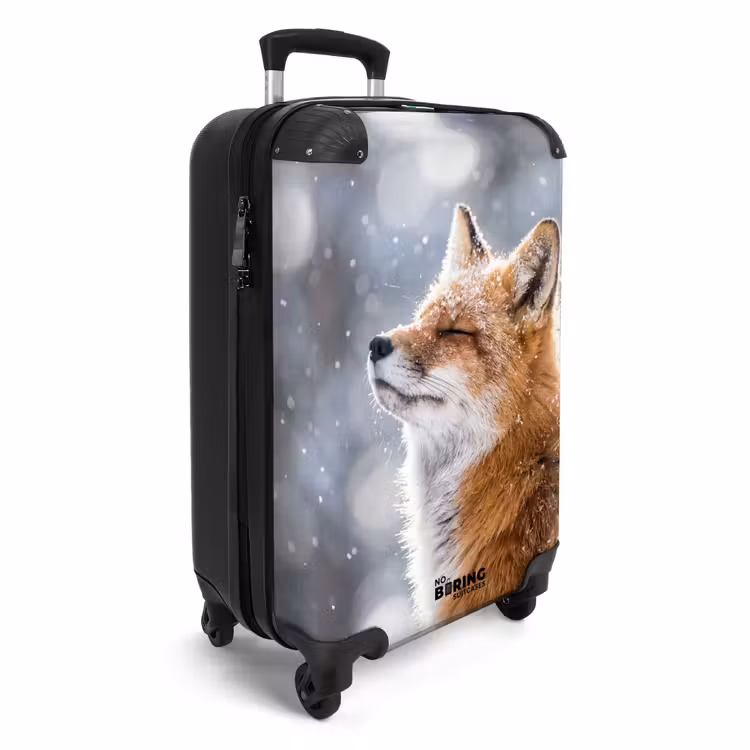 Valise - Renard - Chute de neige - Portrait - Hiver - Ambiance — 2