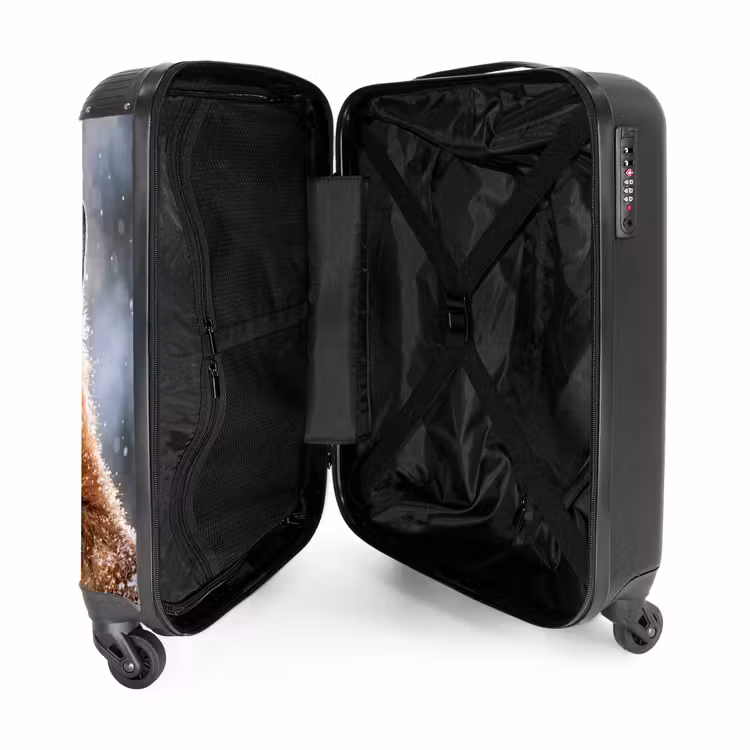 Valise - Renard - Chute de neige - Portrait - Hiver - Ambiance — 5