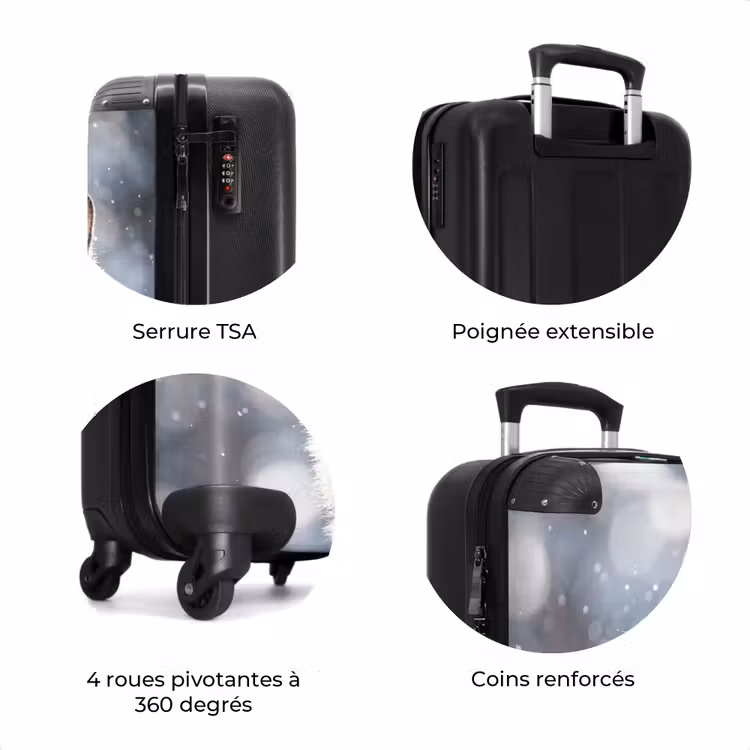 Valise - Renard - Chute de neige - Portrait - Hiver - Ambiance — 8