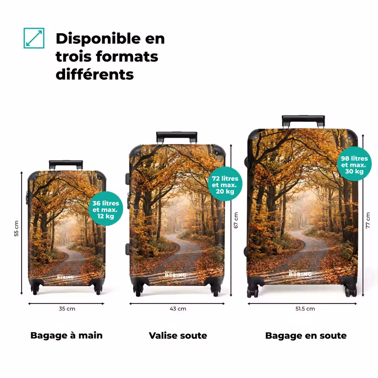 Valise - Sentier forestier - Forêt en automne - Feuilles - Orange - Nostalgique — 3