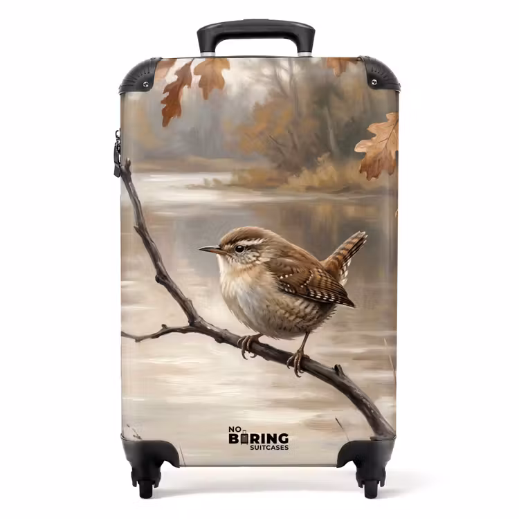 Valise - Troglodyte mignon - Branche - Rivière - Nature - Ambiance — 1
