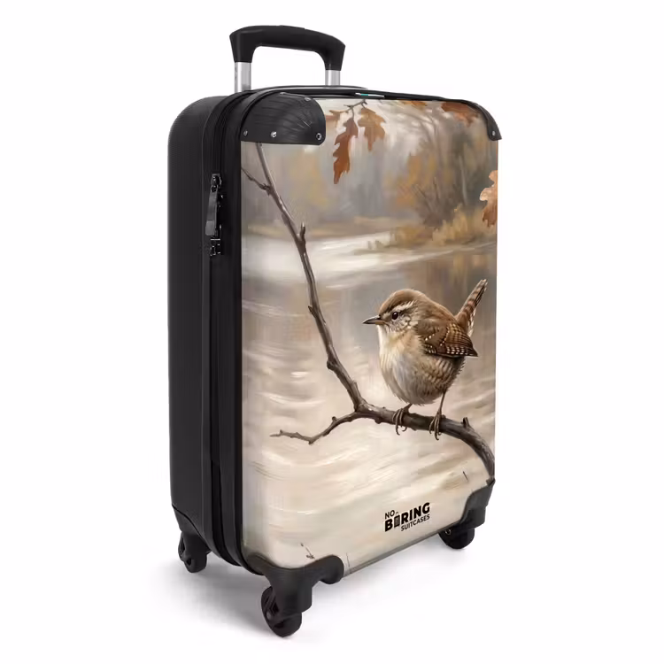 Valise - Troglodyte mignon - Branche - Rivière - Nature - Ambiance — 2