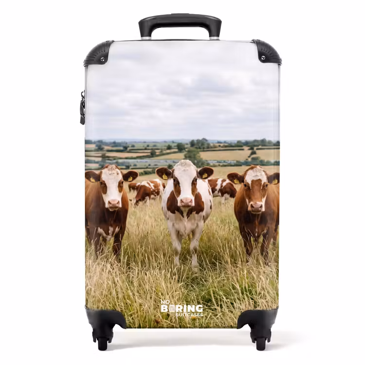 Valise - upload-6a4f5c526792f-92-gigapixel-standard-v2-15x — 1