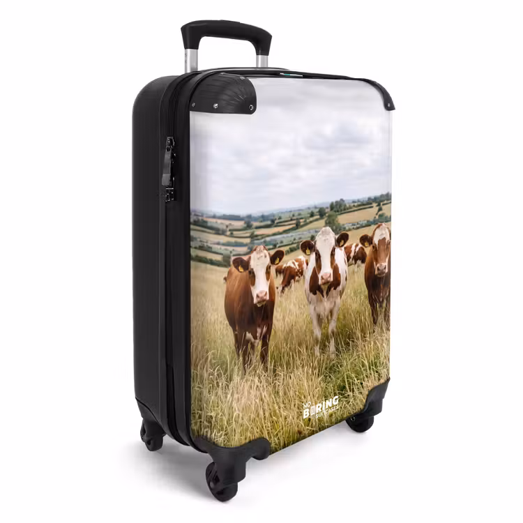 Valise - upload-6a4f5c526792f-92-gigapixel-standard-v2-15x — 2