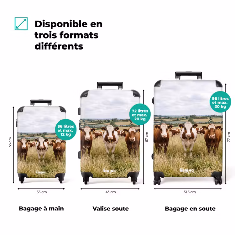 Valise - upload-6a4f5c526792f-92-gigapixel-standard-v2-15x — 3