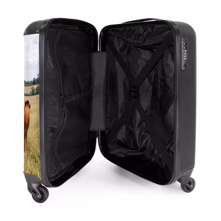 Valise - upload-6a4f5c526792f-92-gigapixel-standard-v2-15x — 5