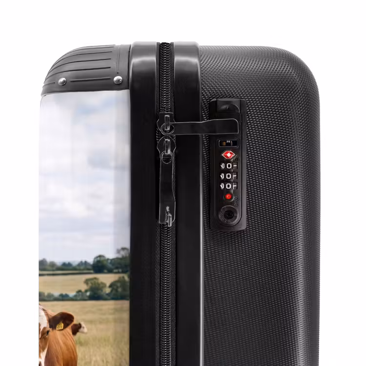 Valise - upload-6a4f5c526792f-92-gigapixel-standard-v2-15x — 6