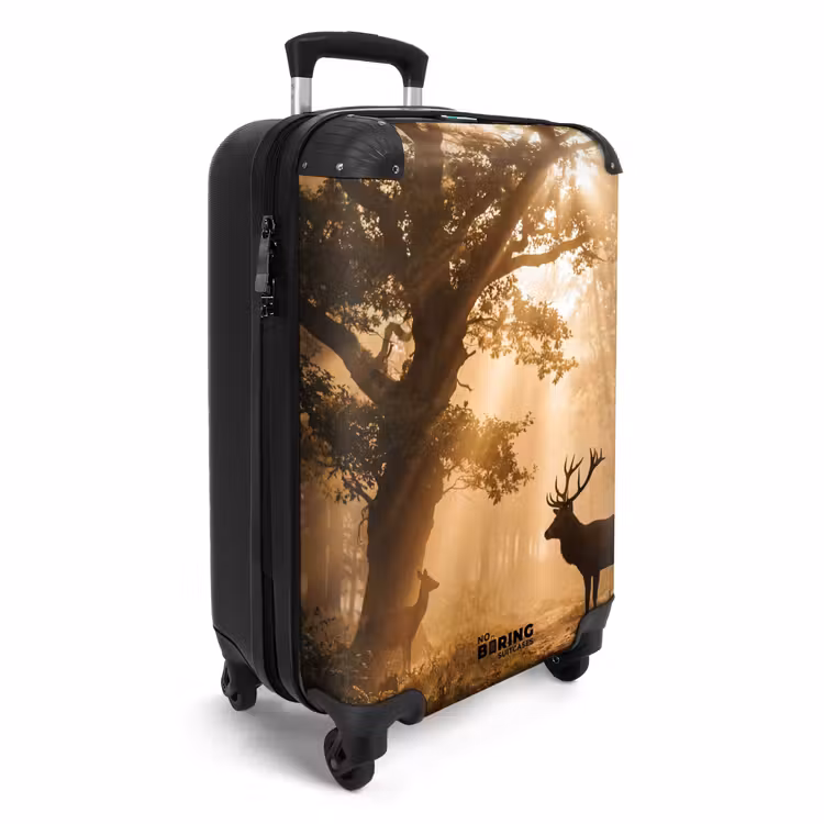 Valise - upload-6a4f5c682ef91-97-gigapixel-standard-v2-15x — 2