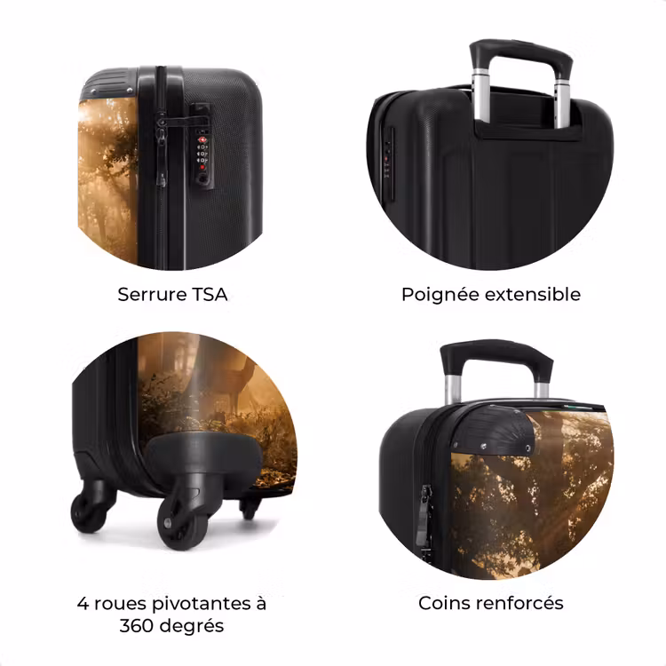 Valise - upload-6a4f5c682ef91-97-gigapixel-standard-v2-15x — 8