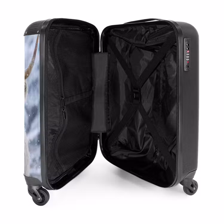 Valise - Highlander écossais - Neige - Montagnes - Hiver — 5