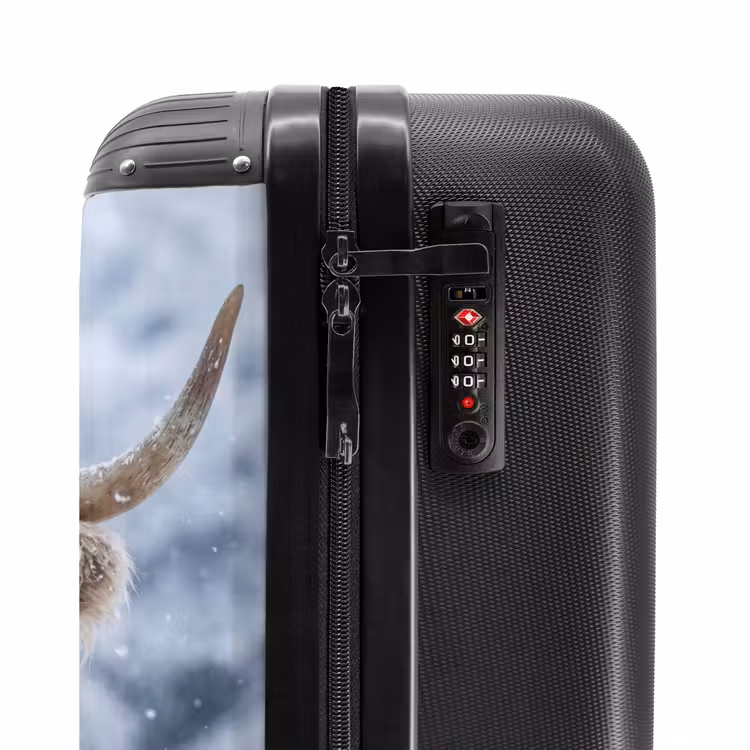 Valise - Highlander écossais - Neige - Montagnes - Hiver — 6
