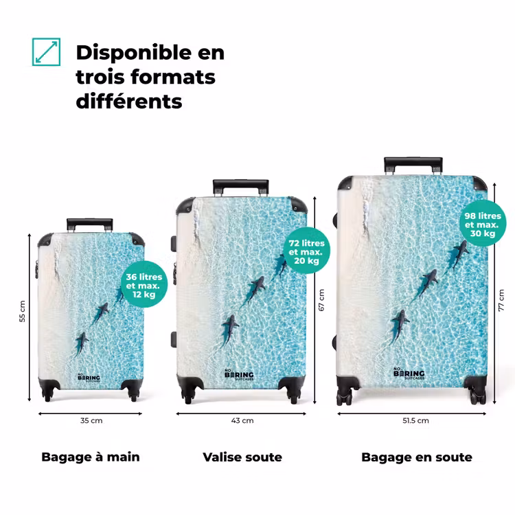 Valise - Océan - Plage - Turquoise - Nature — 3