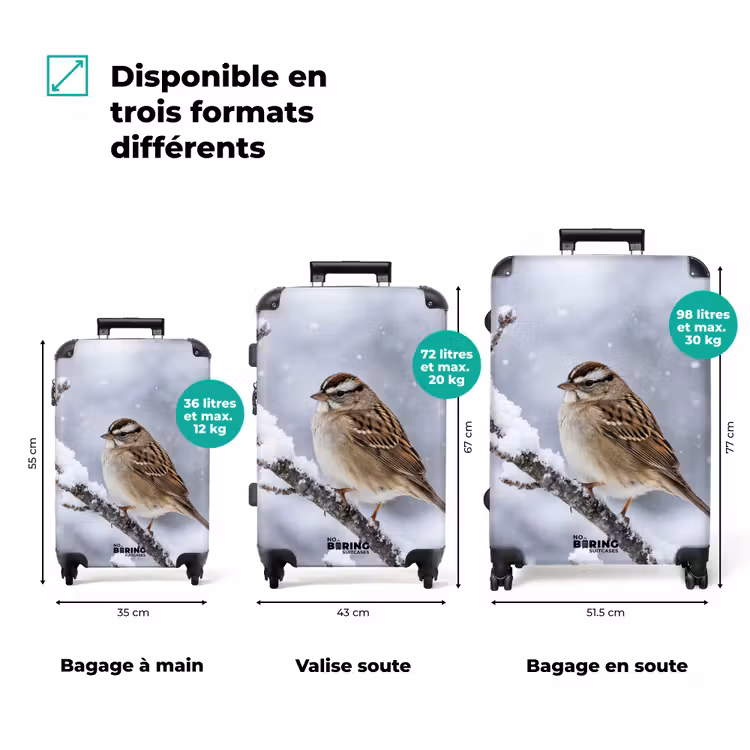 Valise - Oiseau - Branche - Neige - Hiver — 3