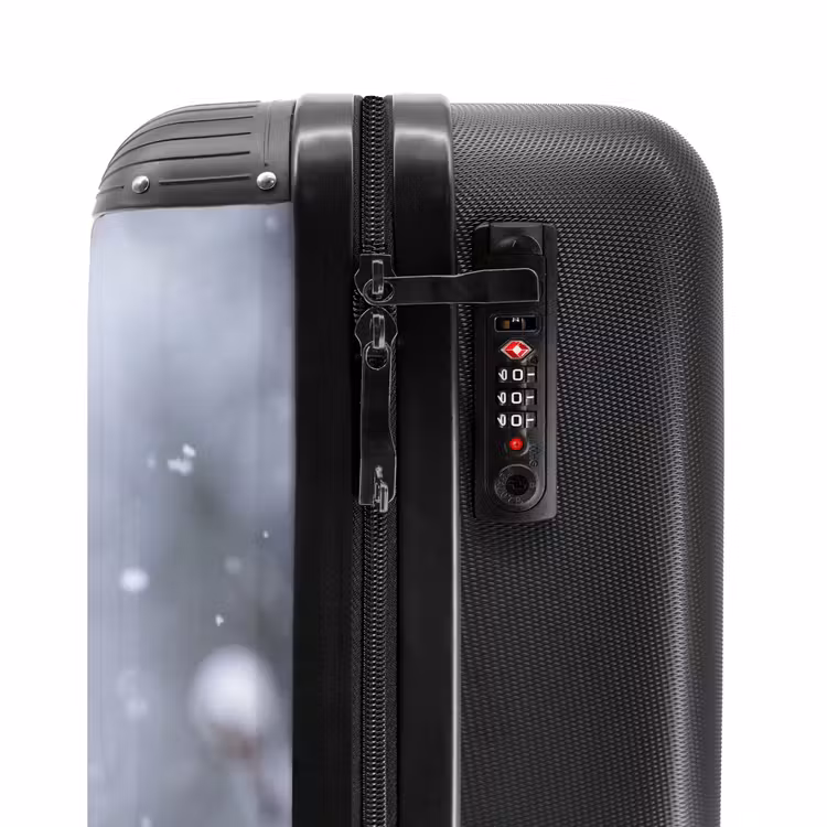Valise - Oiseau - Branche - Neige - Hiver — 6