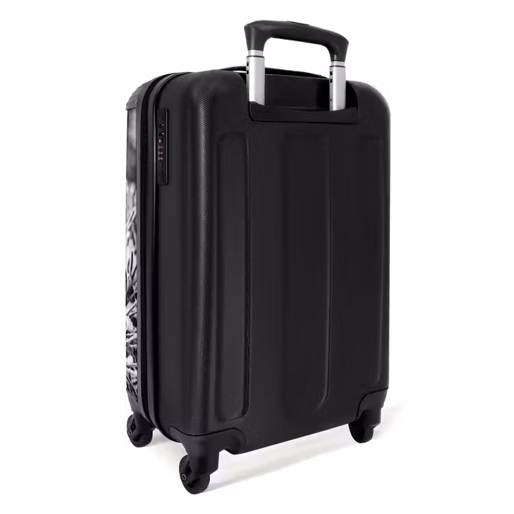 Valise - Pomme de pin - Branche - Neige - Hiver - Ambiance chaleureuse — 4