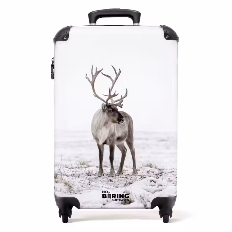 Valise - Renne - Bois - Neige - Hiver — 1