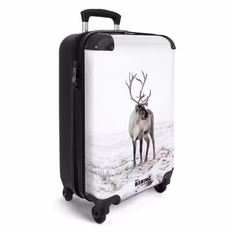 Valise - Renne - Bois - Neige - Hiver — 2