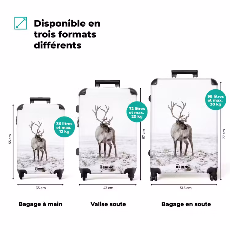 Valise - Renne - Bois - Neige - Hiver — 3