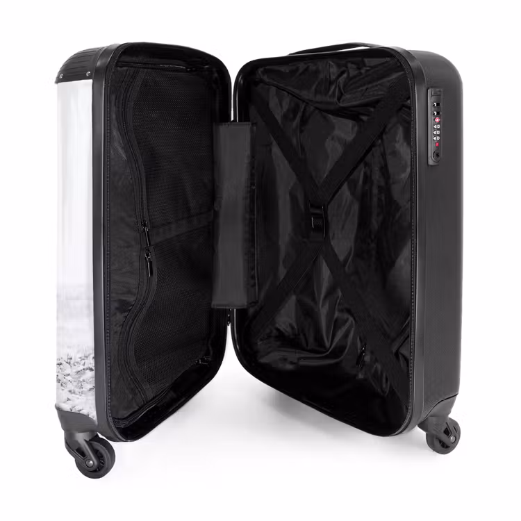 Valise - Renne - Bois - Neige - Hiver — 5