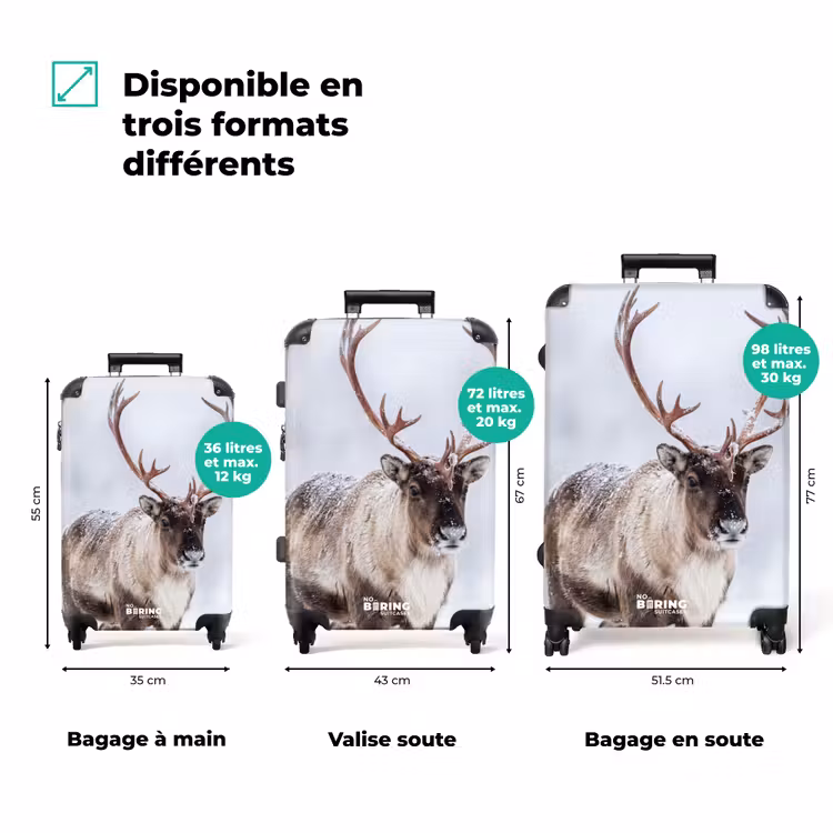 Valise - Renne - Bois - Toundra - Neige - Gibier — 3