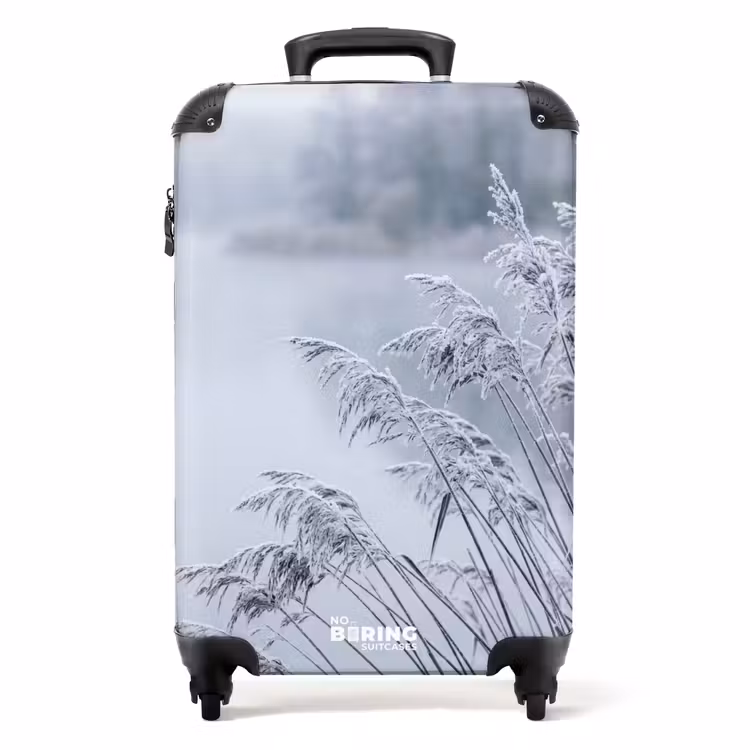 Valise - Roseaux - Gelés - Hiver - Nature — 1