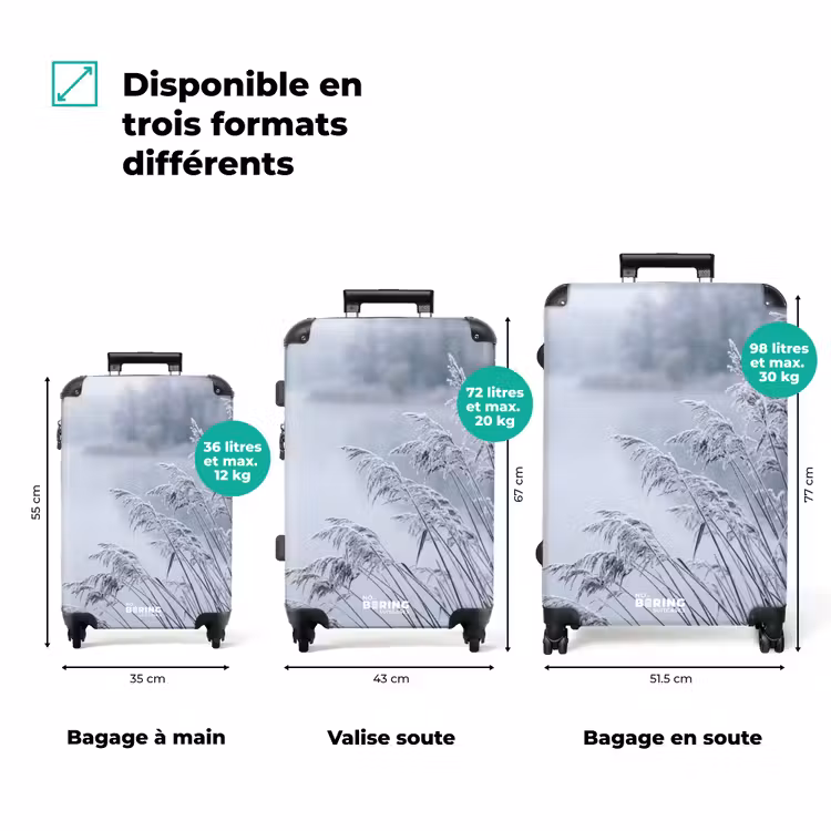 Valise - Roseaux - Gelés - Hiver - Nature — 3