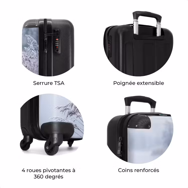 Valise - Roseaux - Gelés - Hiver - Nature — 8
