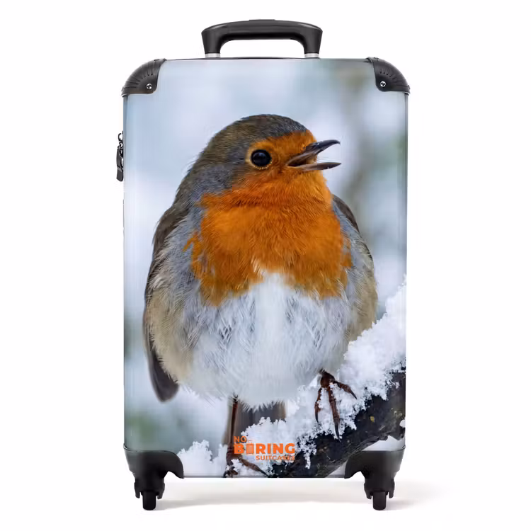 Valise - Rouge-gorge - Branche - Neige - Hiver - Dynamique — 1