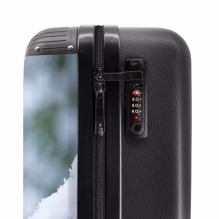 Valise - Rouge-gorge - Branche - Neige - Hiver - Dynamique — 6
