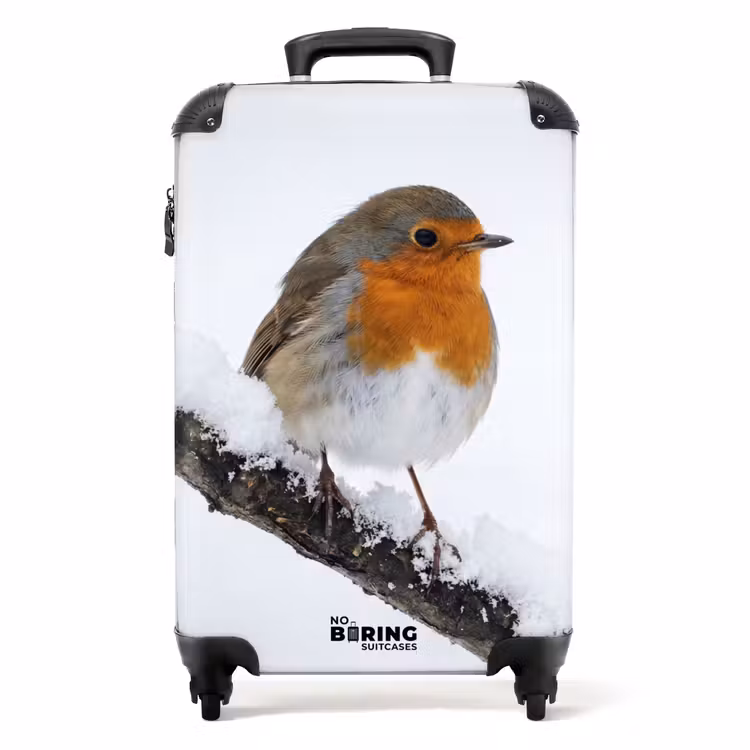 Valise - Rouge-gorge - Branche - Neige - Hiver - Dynamique — 1
