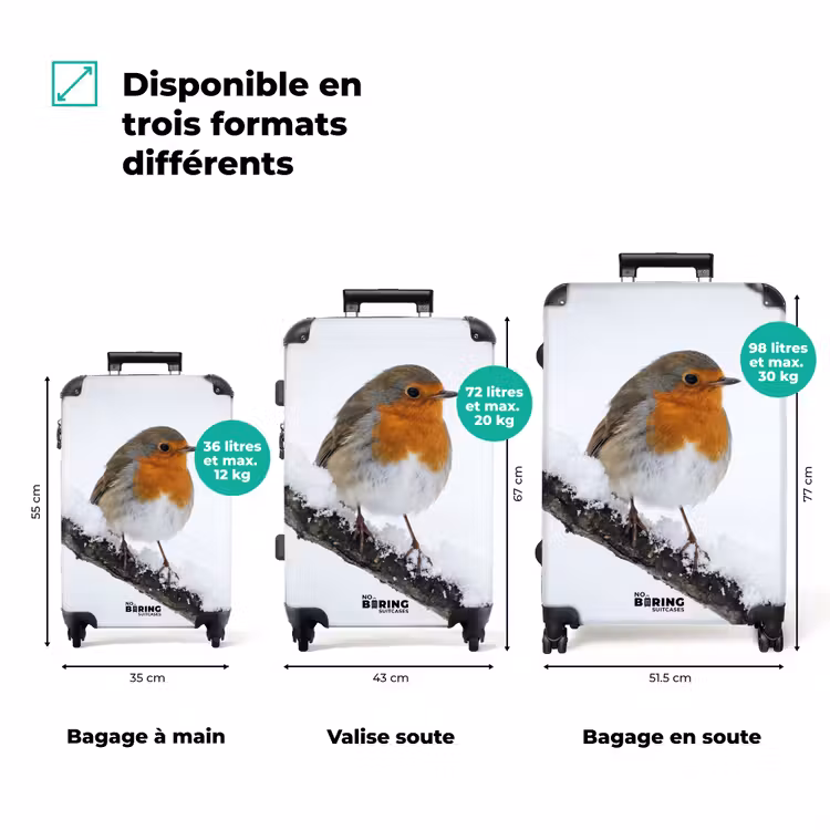 Valise - Rouge-gorge - Branche - Neige - Hiver - Dynamique — 3
