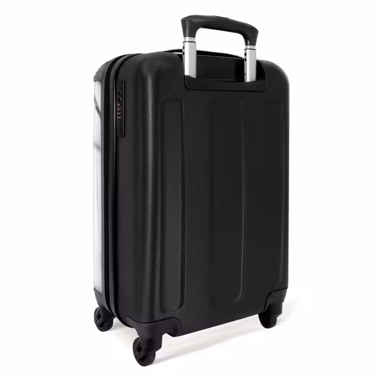 Valise - Rouge-gorge - Branche - Neige - Hiver - Dynamique — 4