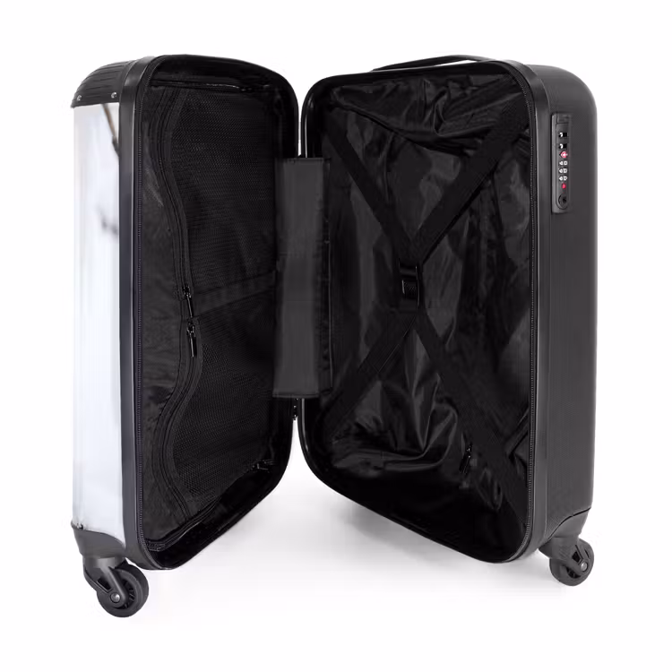Valise - Rouge-gorge - Branche - Neige - Hiver - Dynamique — 5