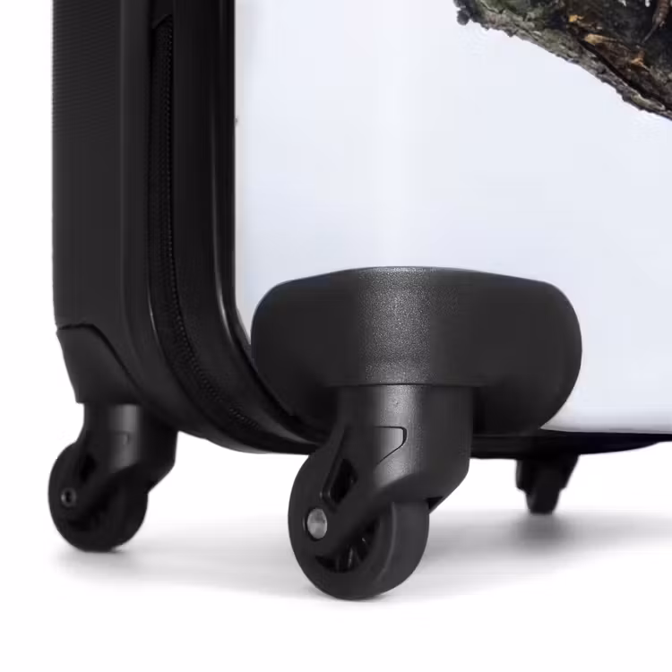 Valise - Rouge-gorge - Branche - Neige - Hiver - Dynamique — 7