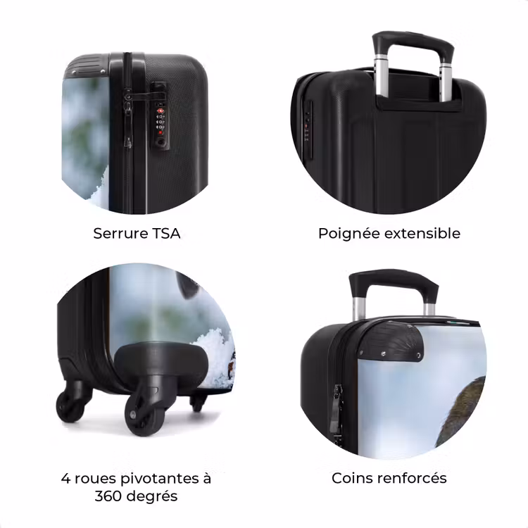 Valise - Rouge-gorge - Branche - Neige - Hiver - Dynamique — 8
