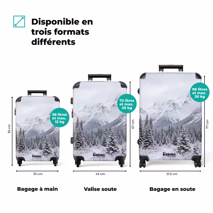 Valise - Route - Montagnes - Neige - Forêt de conifères - Aventure — 3