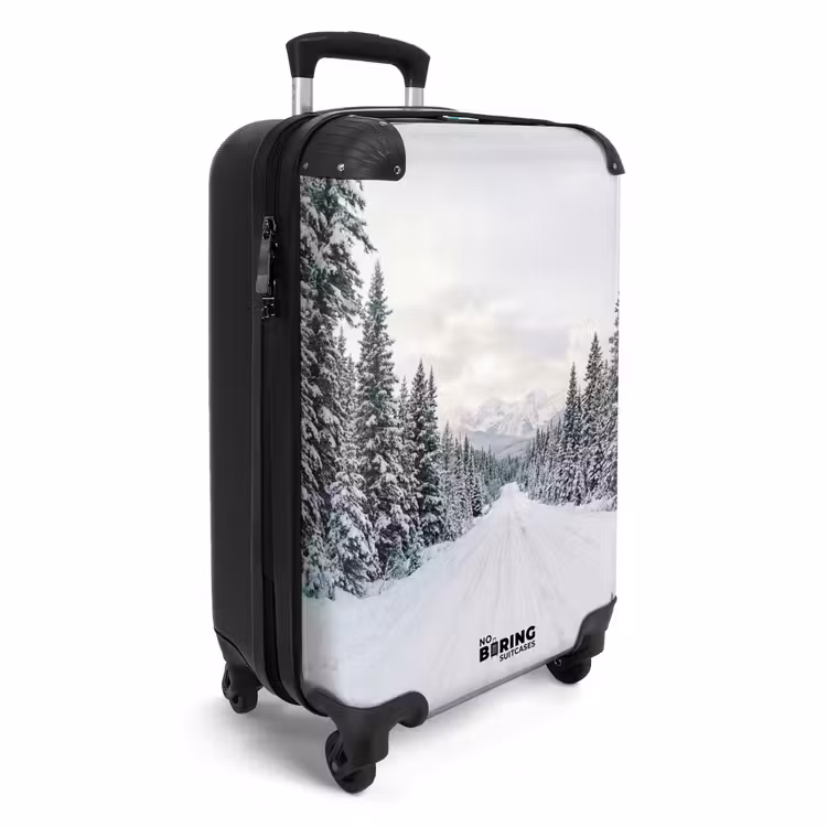 Valise - Route - Neige - Forêt de conifères - Hiver - Aventure — 2