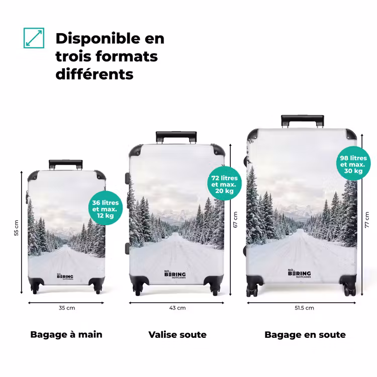Valise - Route - Neige - Forêt de conifères - Hiver - Aventure — 3