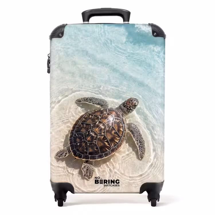 Valise - Tortue - Eau claire - Plage - Animaux - Nature — 1
