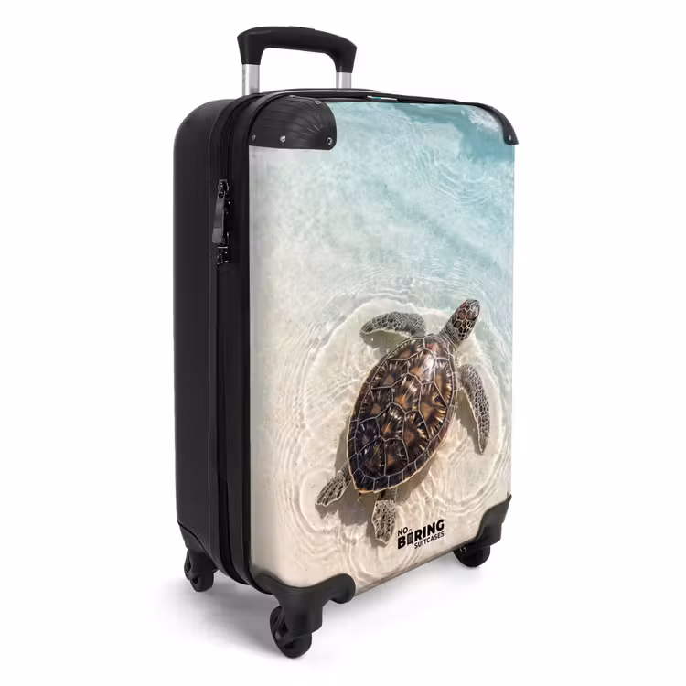 Valise - Tortue - Eau claire - Plage - Animaux - Nature — 2