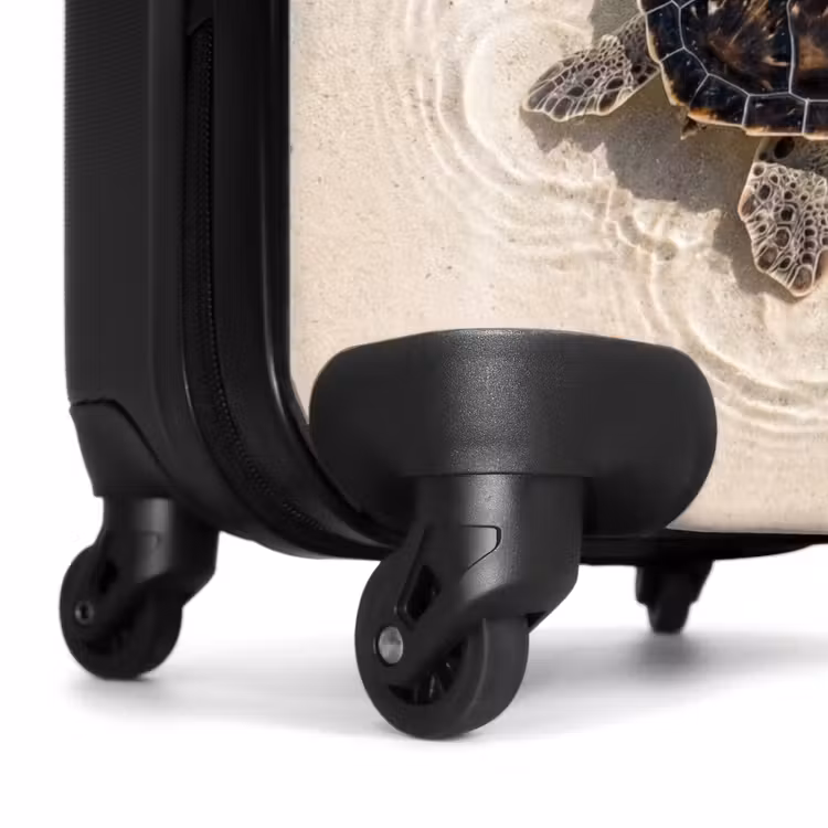 Valise - Tortue - Eau claire - Plage - Animaux - Nature — 7