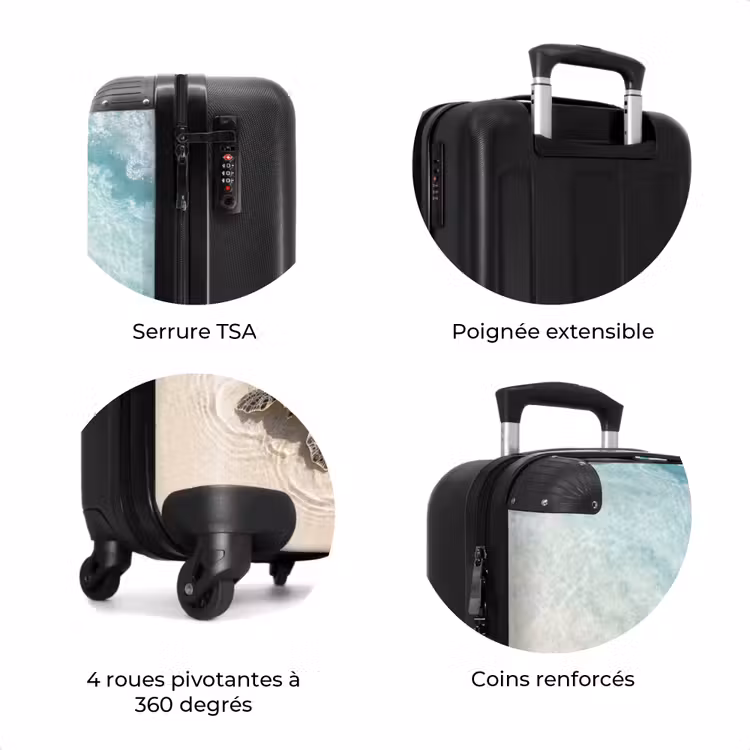Valise - Tortue - Eau claire - Plage - Animaux - Nature — 8