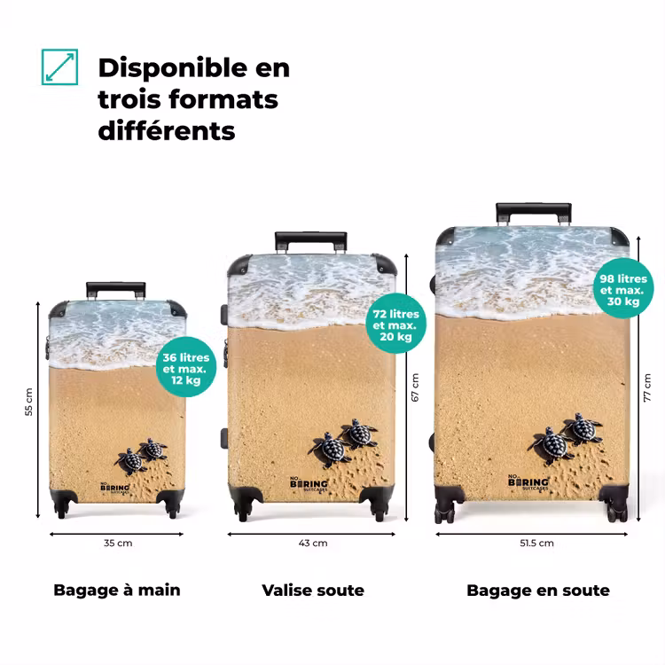 Valise - Tortue - Jeune - Plage - Océan - Bleu — 3