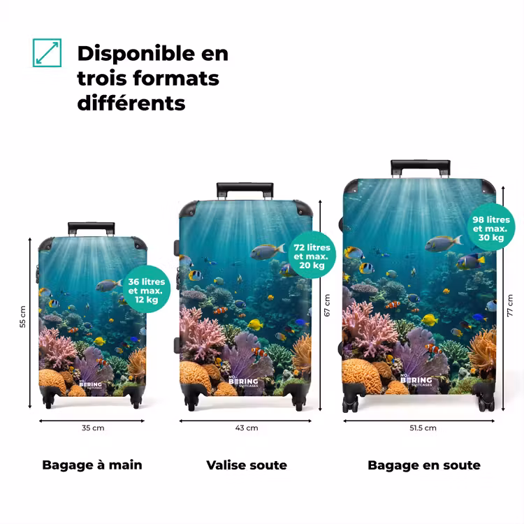Valise - Poisson - Corail - Océan - Nature - Coloré — 3