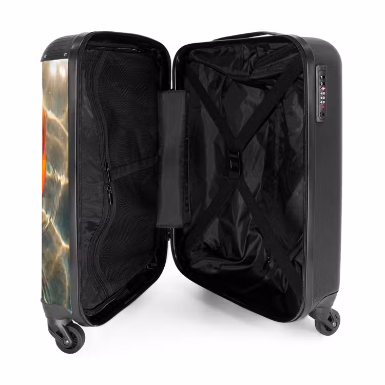 Valise - Poisson - Eau - Animaux - Orange - Or — 5