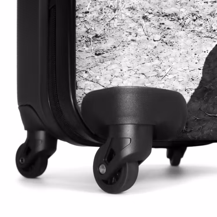 Valise - Taureau - Ombre - Animaux - Contraste - Noir et blanc — 7