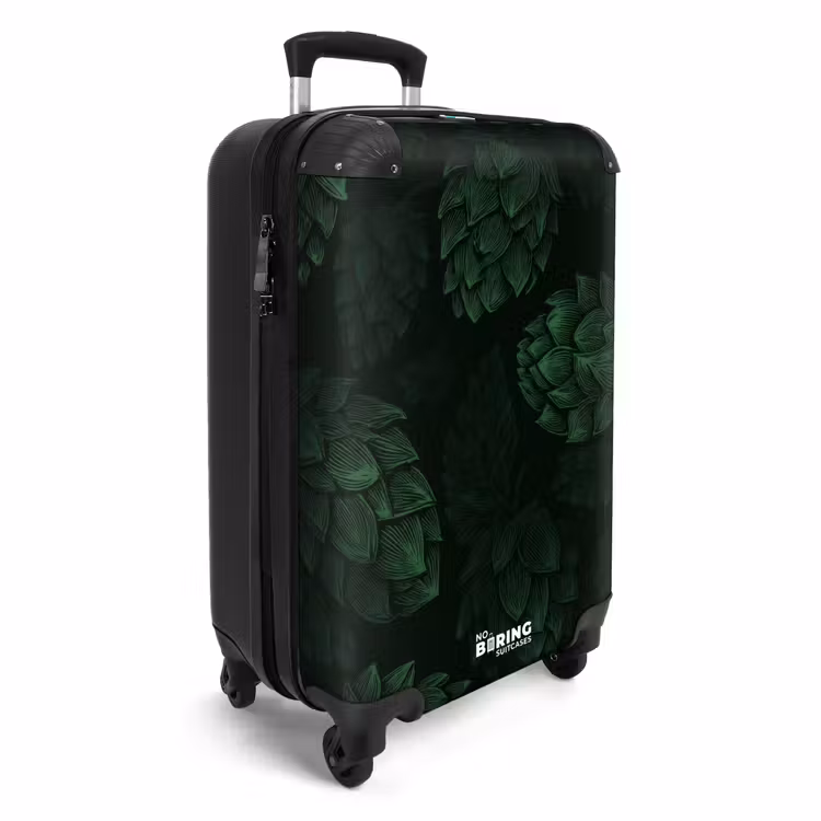 Valise - upload-6a7060c5f24ac-284-gigapixel-standard-v2-15x — 2